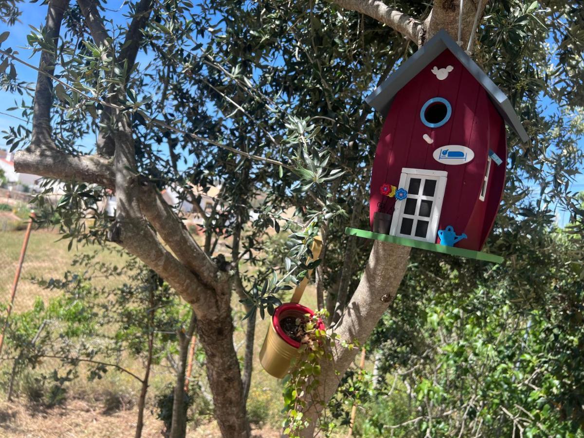 הוילה סילבס Refugio Dos Sapinhos מראה חיצוני תמונה